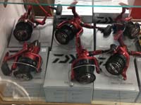 Emcast Sport Reels