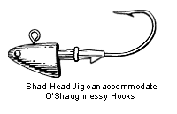 Shad Head Jig