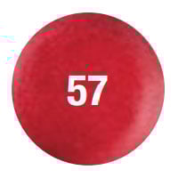 Pro-Tec Powder Paint