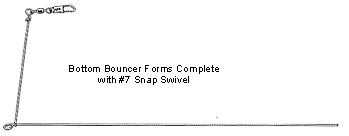 Do-It Bottom Bouncer Form