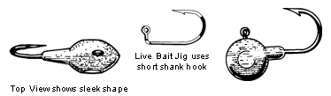 Live Bait Jig