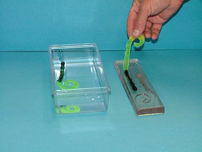 Pour Your Soft Plastic How To